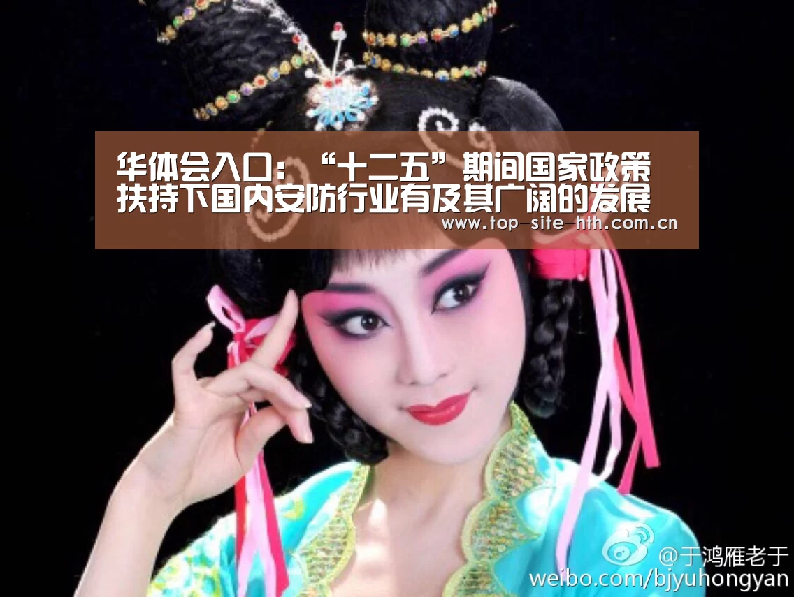 华体会入口:“十二五”期间国家政策扶持下国内安防行业有及其广阔的发展空间(图2) 华体会