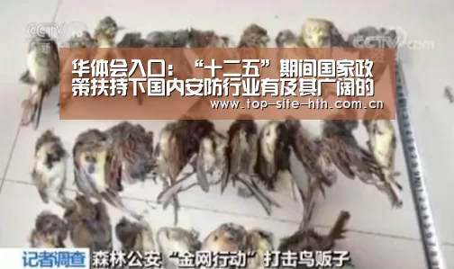 华体会入口:“十二五”期间国家政策扶持下国内安防行业有及其广阔的发展空间(图3) 华体会登陆