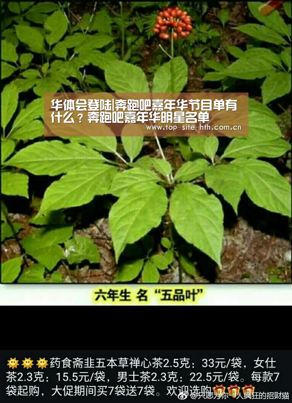 华体会登陆|奔跑吧嘉年华节目单有什么?奔跑吧嘉年华明星名单(图2) 华体会登陆
