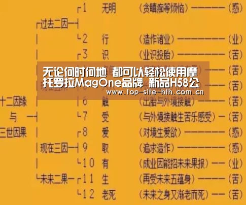 华体会