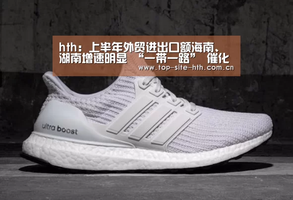 hth:上半年外贸进出口额海南、湖南增速明显 “一带一路” 催化我国贸易市场快速发展(图1) 华体会入口