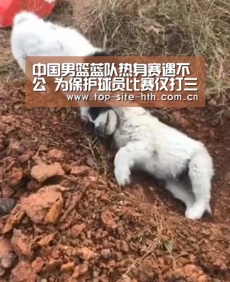 中国男篮蓝队热身赛遇不公 为保护球员比赛仅打三节:华体会登陆(图1) 华体会登陆