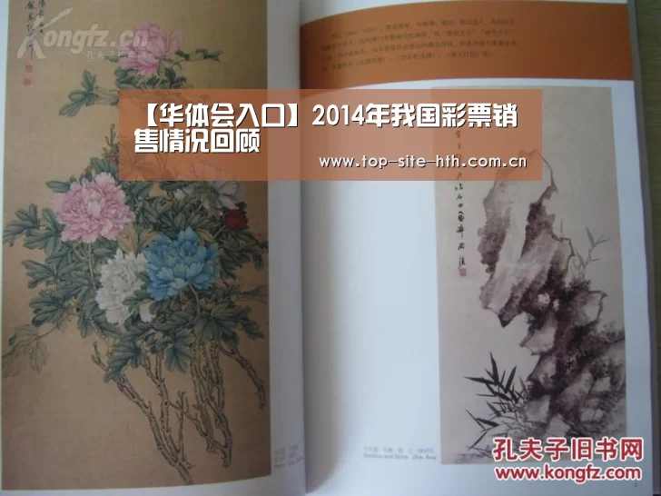 【华体会入口】2014年我国彩票销售情况回顾(图3) 【华体会入口】2014年我国彩票销售情况回顾(图3)