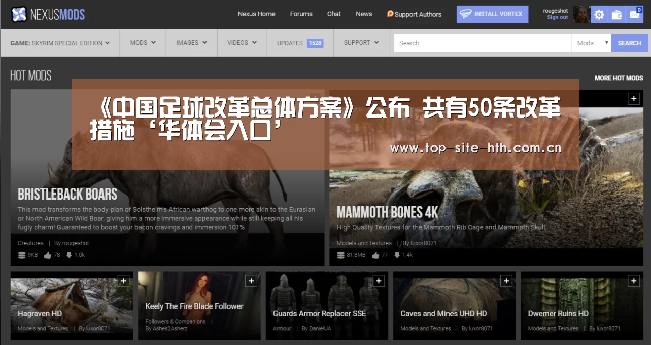 《中国足球改革总体方案》公布 共有50条